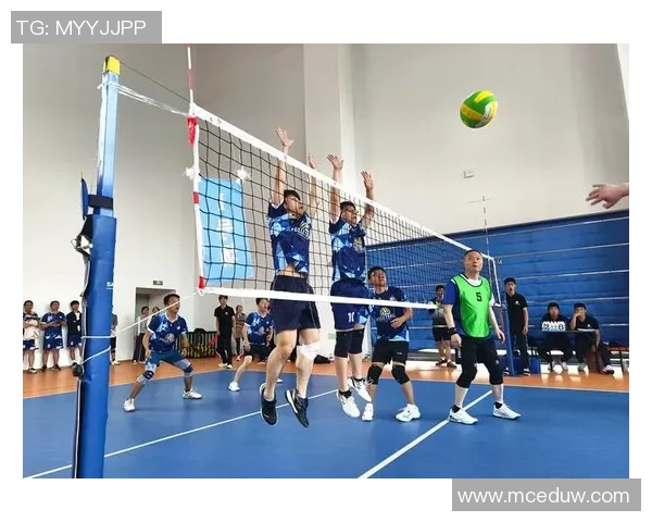 成都排球队创历史新高排球速度排名引发热议