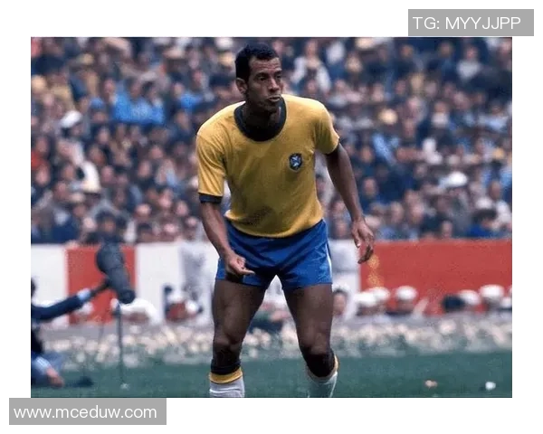 西单足球明星巴西传奇的光辉历程与成就探秘 西单足球明星巴西传奇的光辉历程与成就探秘