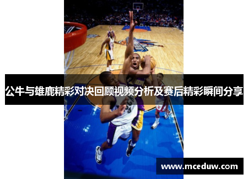 公牛与雄鹿精彩对决回顾视频分析及赛后精彩瞬间分享